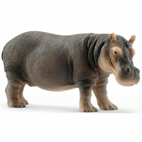 Schleich víziló