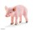 Schleich 13783 - Álló Malac