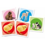 Állatkölykök memóriajáték 48 db-os Clementoni 