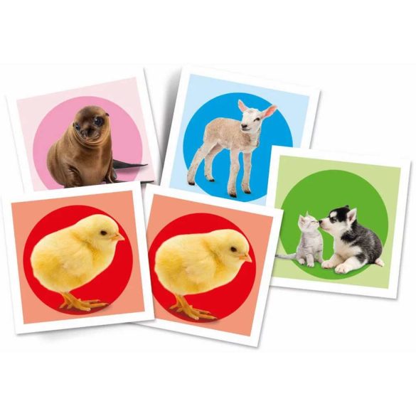 Állatkölykök memóriajáték 48 db-os Clementoni 