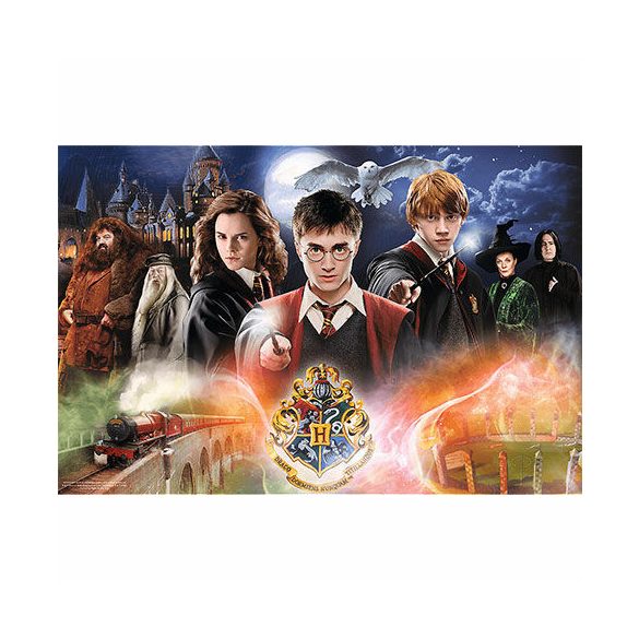 Wizarding World: Titokzatos Harry Potter puzzle 300 db-os -Trefl