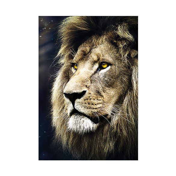 Oroszlán portré 1500 db-os prémium puzzle – Trefl