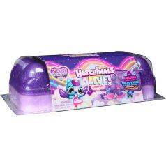 Hatchimals Alive! : Neon Rainbow Tojástartó