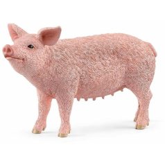 Schleich Disznó