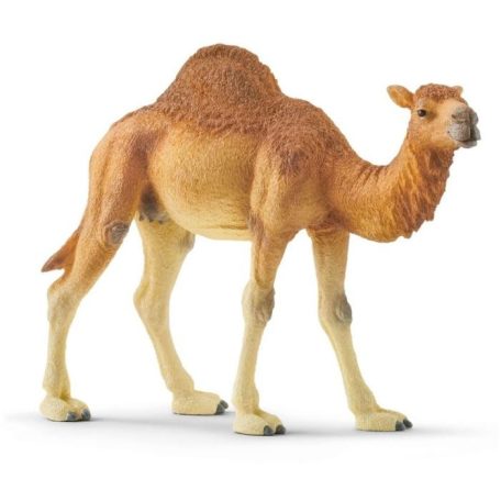 Schleich Dromedár