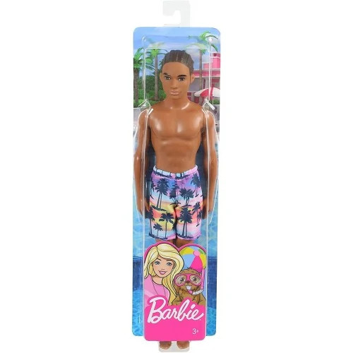 Mattel Barbie - Ken mintás fürdőruhában