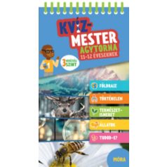 Kvízmester- agytorna 11-12 éveseknek